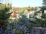 Western Michigan [2009] 188